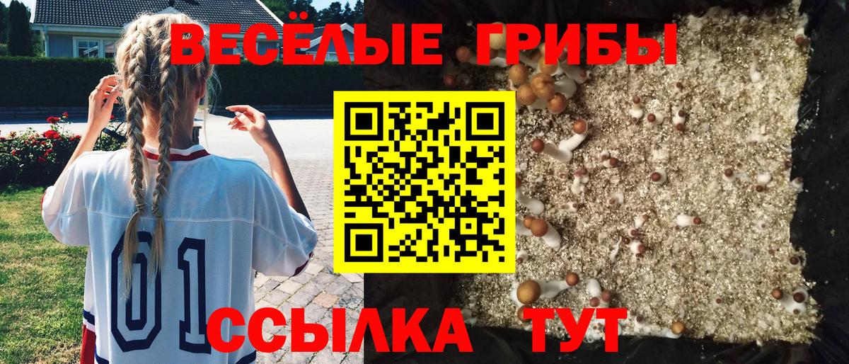 Галлюциногенные грибы Cubensis Электрогорск