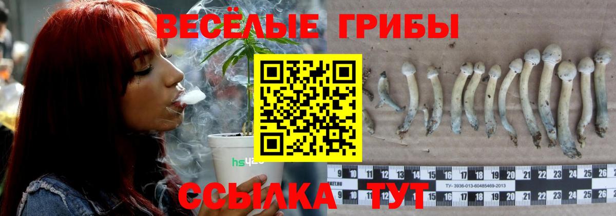 Псилоцибиновые грибы MAGIC MUSHROOMS  Вход с VPN  Электрогорск 